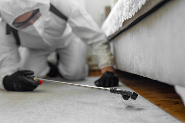Professional Bed Bug Control technician working in Shattuck, OK